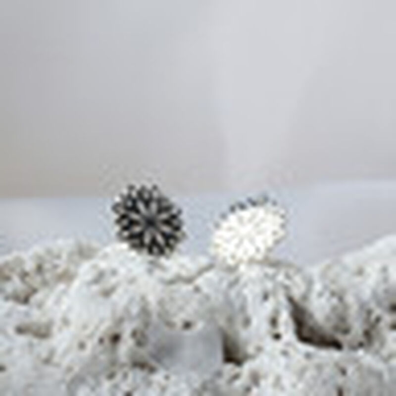 Broqueles Gerbera de Plata .925 image number null