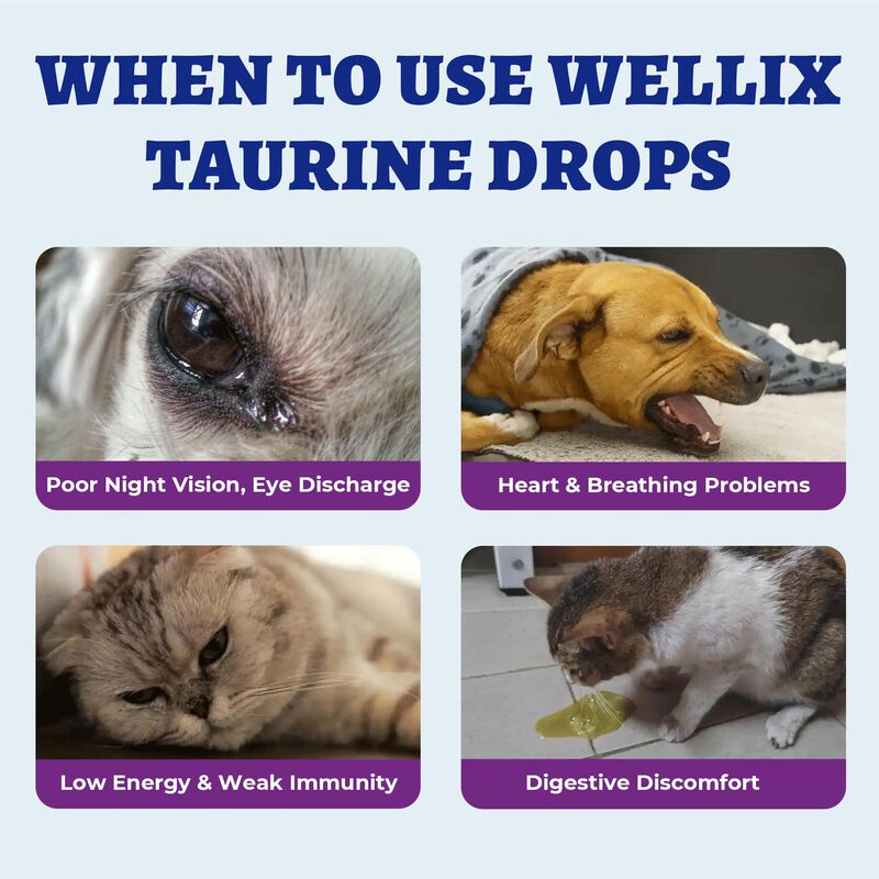 Gotitas De Taurina Wellix 120 ml Para Perros Y ... image number null