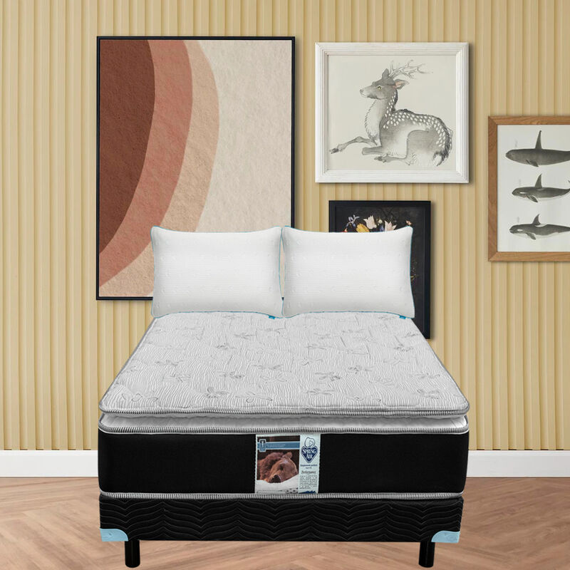 Colch&oacute;n Queen Size + Box Spring Air Kunis image number null