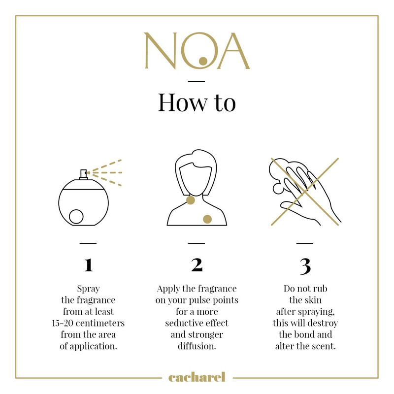 Perfume Cacharel Noa Eau De Toilette 100 Ml Par... image number null