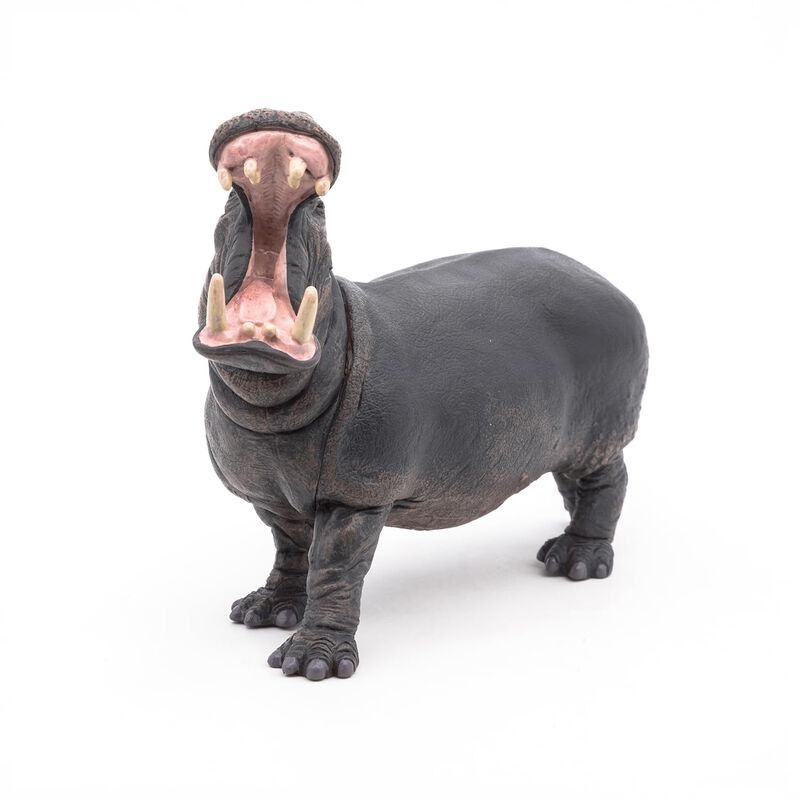 Figura De Juguete Papo Hippopotamus image number null