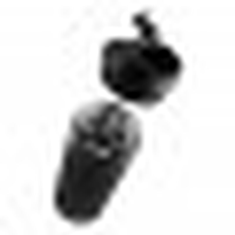 Redlemon Termo Para Caf&eacute; Con Prensa Francesa image number null