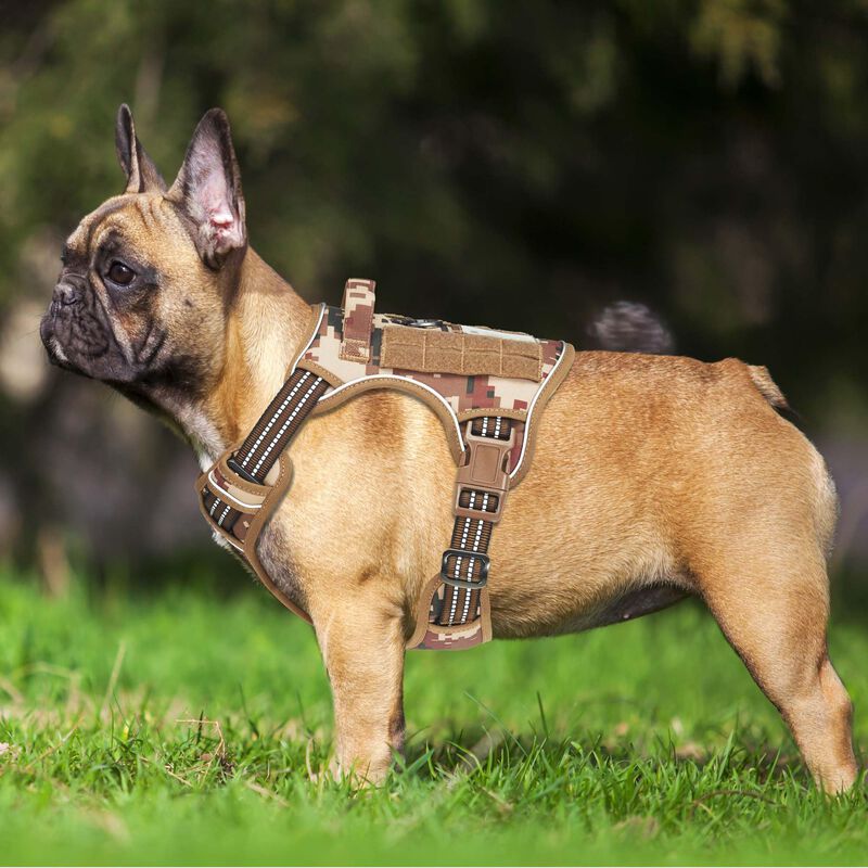 Arn&eacute;s T&aacute;ctico Para Perro Beebiepet Mediano En C... image number null