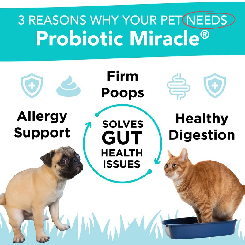 Probiotic Miracle Probi&oacute;ticos Para Gatos Y Perr... image number null