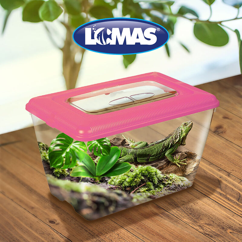 Lomas Mascotera Grandepara Pequeñas Especies co... image number null