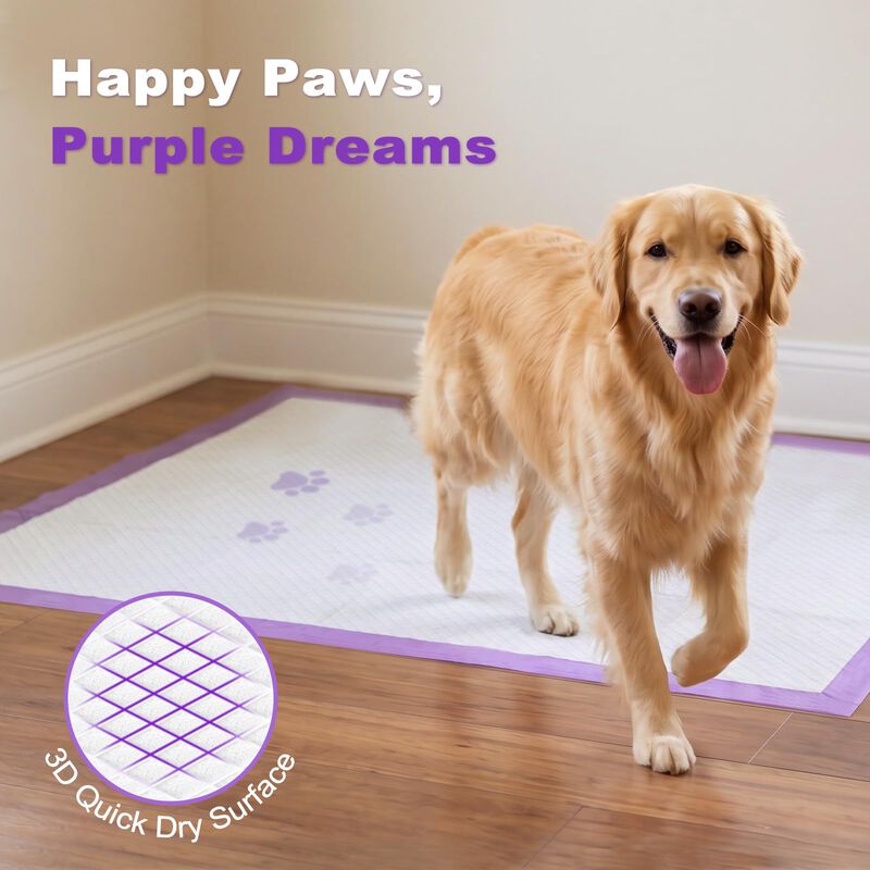 Alfombrillas Absorbentes Para Perros Mizok 91x9... image number null