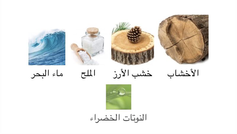 Perfume Xerjoff Join The Club 40 Knots Eau De P... image number null