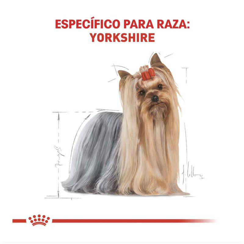 Royal Canin Bhn Yorkshire Terrier 4.55 Kg Origi... image number null