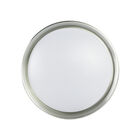 Plaf&oacute;n para techo Rhonda II 12w Silver  Mil Luces