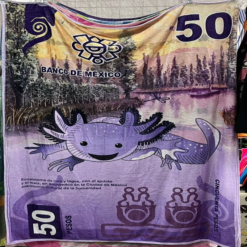 Exclusiva! Cobija Frazada Ultra Suave Ajolote B... image number null