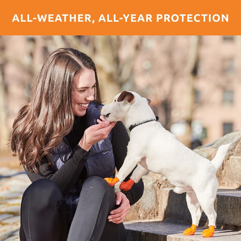 Botas Para Perros Protex Pawz Rubber All-weathe... image number null