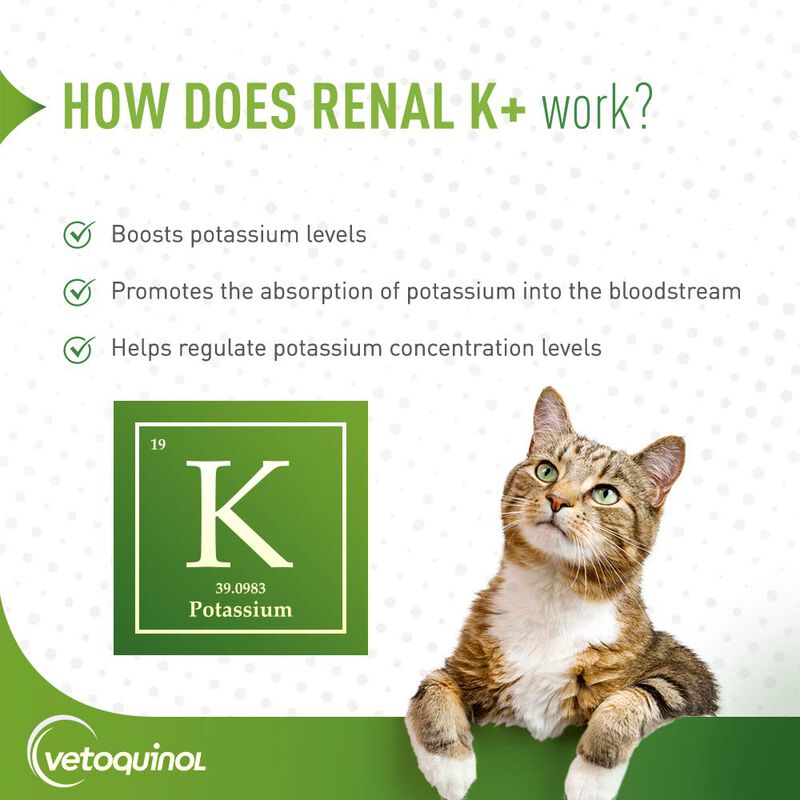 Suplemento De Potasio En Polvo Vetoquinol Renal... image number null
