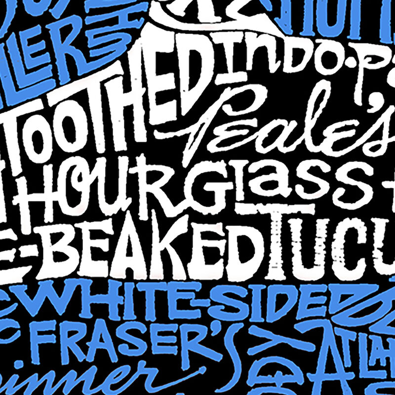 Camiseta Word Art Para Ni&ntilde;a - Especies de Delf&iacute;... image number null