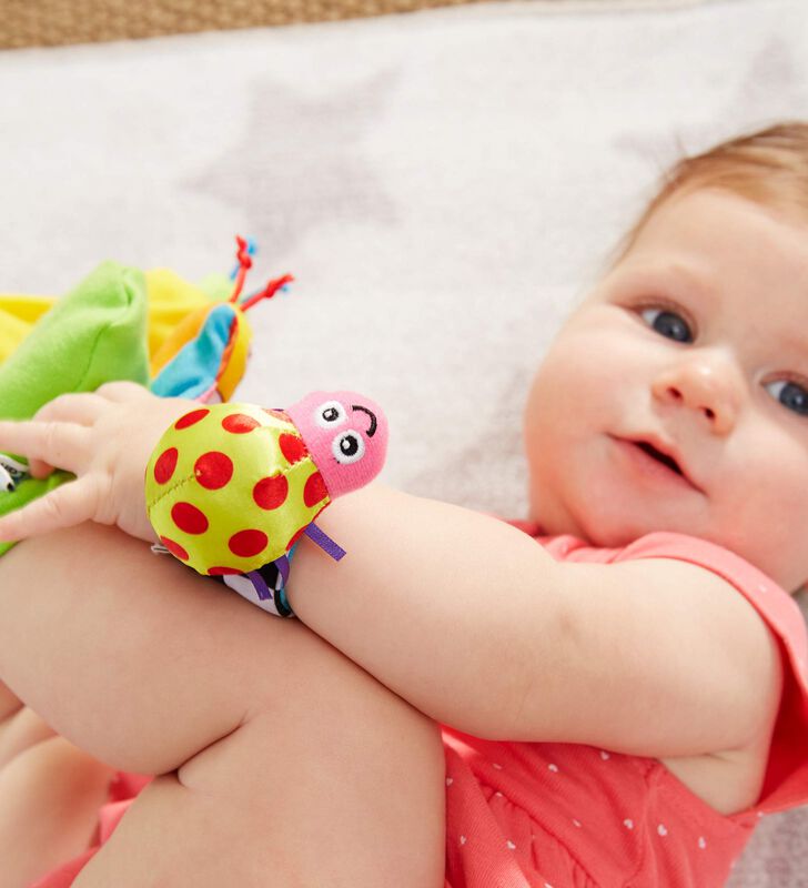 Set Para Beb&eacute;s Lamaze Gardenbug De Sensory Deve... image number null