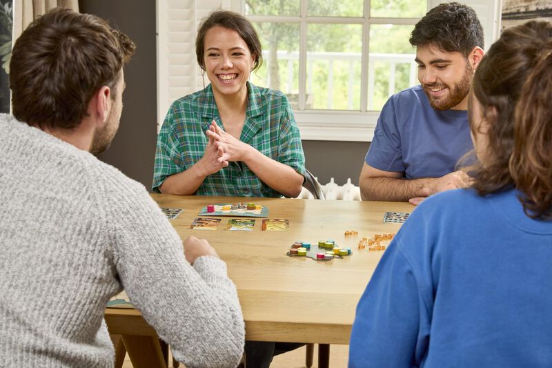 Juego De Mesa Harmonies Libellud Crea Paisajes ... image number null