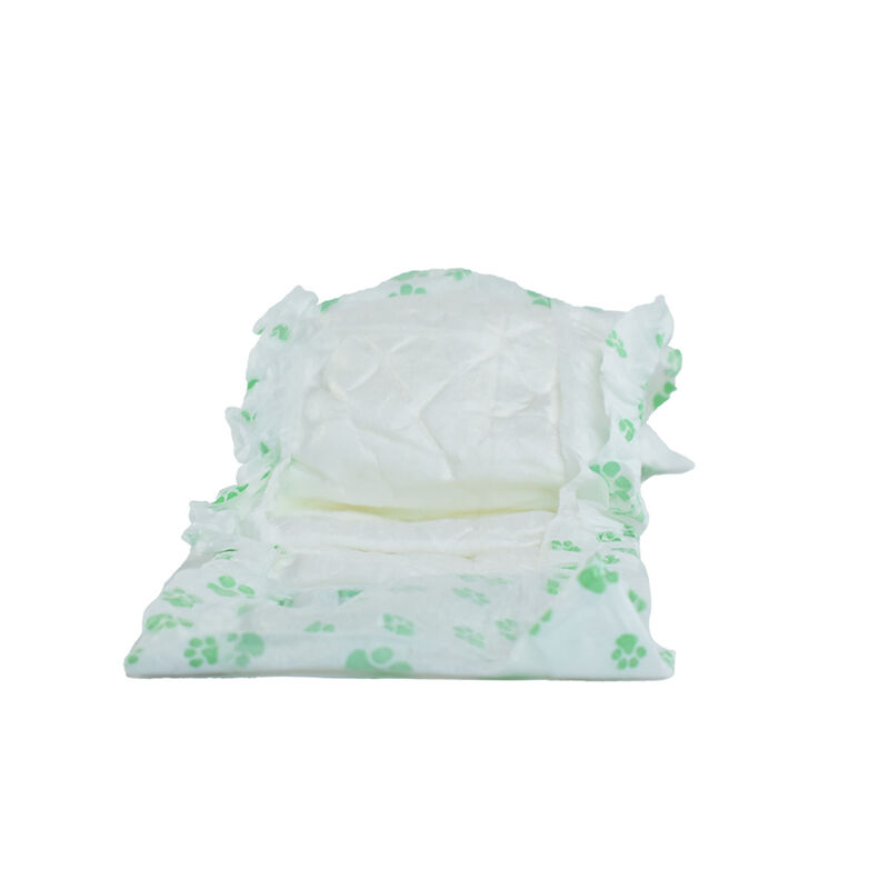 Fancy Pets Pañal Chico Para Macho - 12 Pz image number null