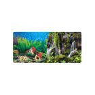 Respaldo Doble Para Acuario Vista Jardin/cascada 50 Cm