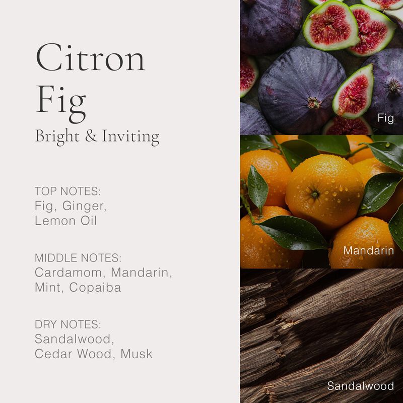 Perfume CLEAN Reserve Citron Fig 100ml image number null