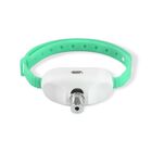 Fancy Pets. Juguete Collar para Gato con Puntero Laser