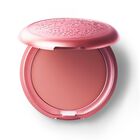 Rubor Labial Y De Mejillas Stila Convertible Patina