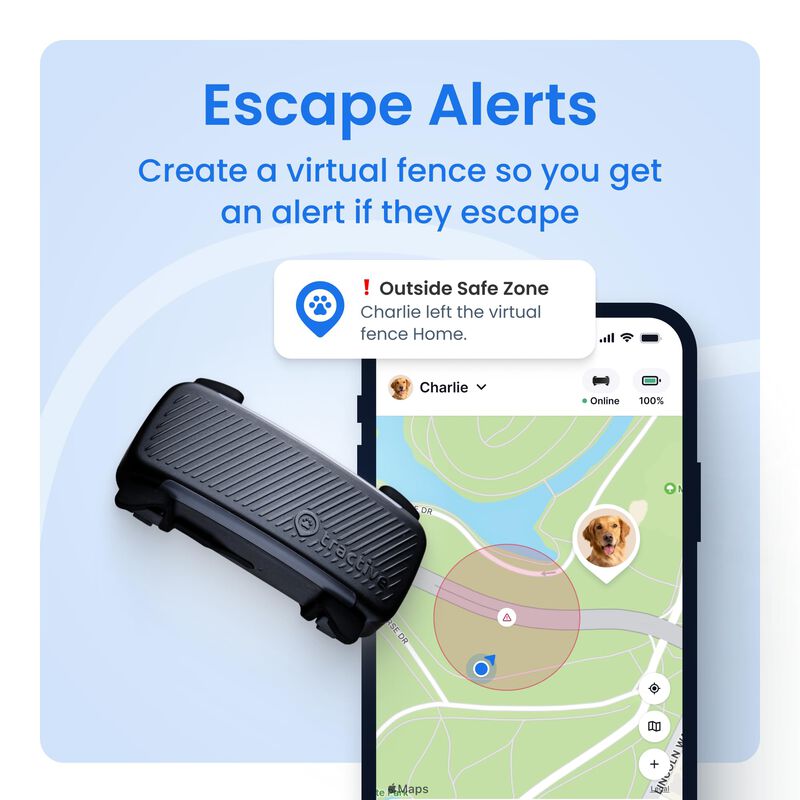 Collar Gps Tractive Para Perro Azul Grande Con ... image number null