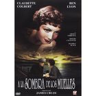 A La Sombra De Los Muelles [dvd]