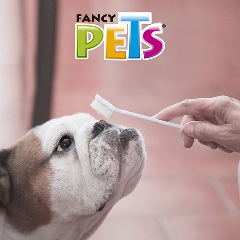 Fancy Pets Set De Cepillos Dentales Para Mascot... image number null