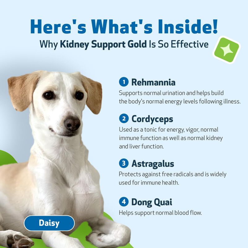 Suplemento Pet Wellbeing Kidney Support Gold Pa... image number null