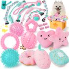 Puppy Toys Xiugoal, Rosa, Para La Dentici&oacute;n, Con Pelota Y Cuerdas