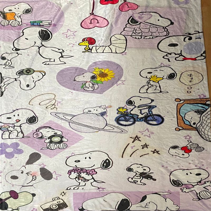 Exclusiva! Cobija Frazada Ultra Suave Snoopy Co... image number null
