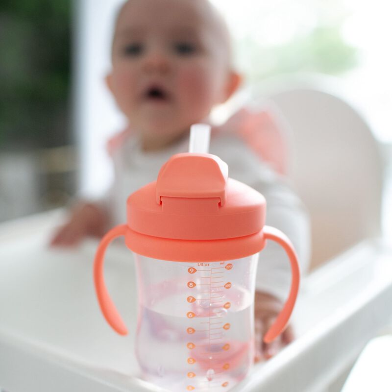 Sippy Cup Dr. Brown's Milestones Baby's First S... image number null