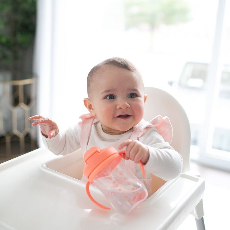 Sippy Cup Dr. Brown's Milestones Baby's First S... image number null