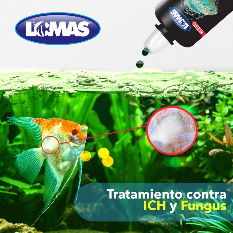 Lomas Verde Plus Contra Ich Y Fungus Para Peces... image number null