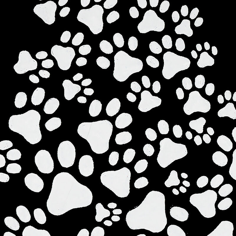 Camiseta De Manga Larga Word Art Para Ni&ntilde;o - &Aacute;r... image number null