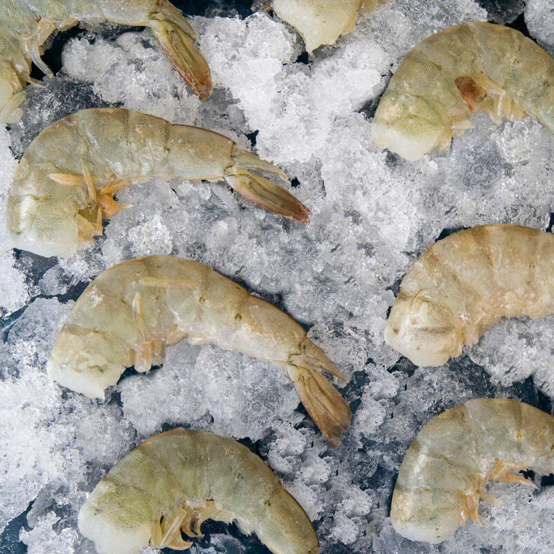 CAMAR&Oacute;N GRANDE SIN CABEZA image number null