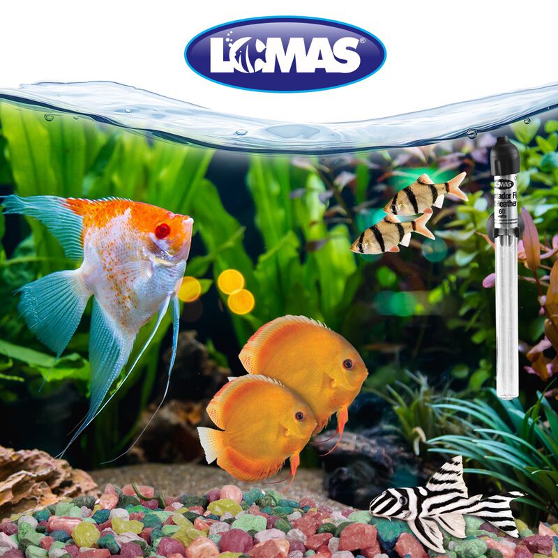 Lomas Thermo-Mini Calentador Fijo para Acuarios... image number null