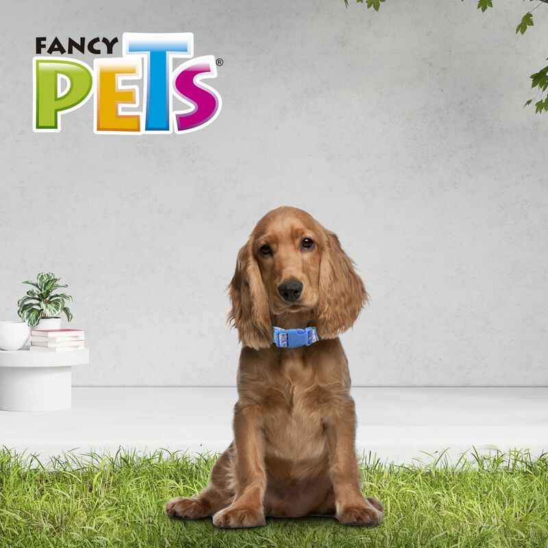 Fancy Pets Collar Galer&iacute;a Sky Look Tama&ntilde;o Media... image number null