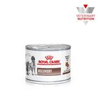 Royal Canin Canine /Feline Recovery 145 g