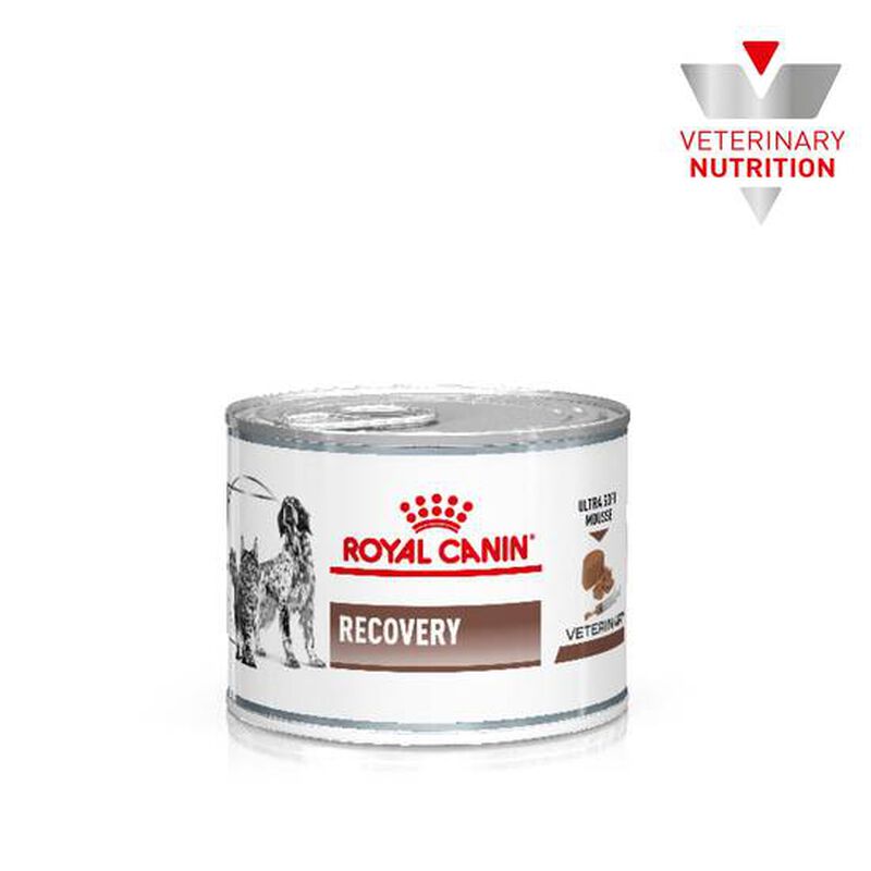 Royal Canin Canine /Feline Recovery 145 g image number null