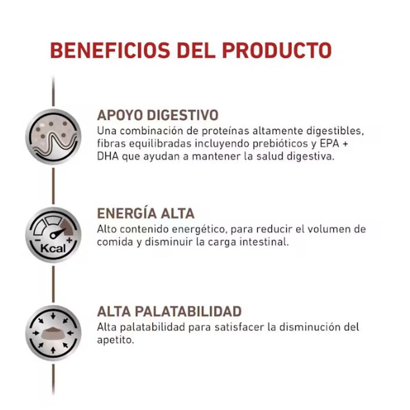 Royal Canin Gastro-Intestinal Feline 4 Kg mas P... image number null