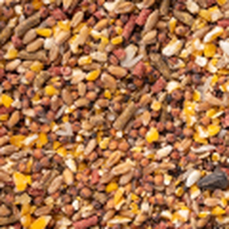 Redkite Mezcla Para Aves Silvestres Y De Hogar ... image number null