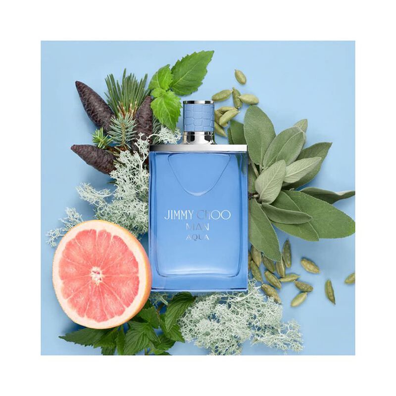 Perfume Jimmy Choo Man Aqua Eau De Toilette par... image number null