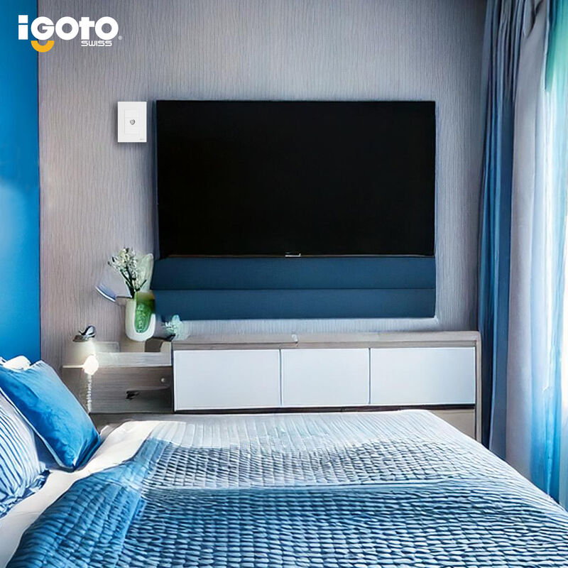 Placa Armada Cristal IGOTO CRIS1001-2011 con me... image number null