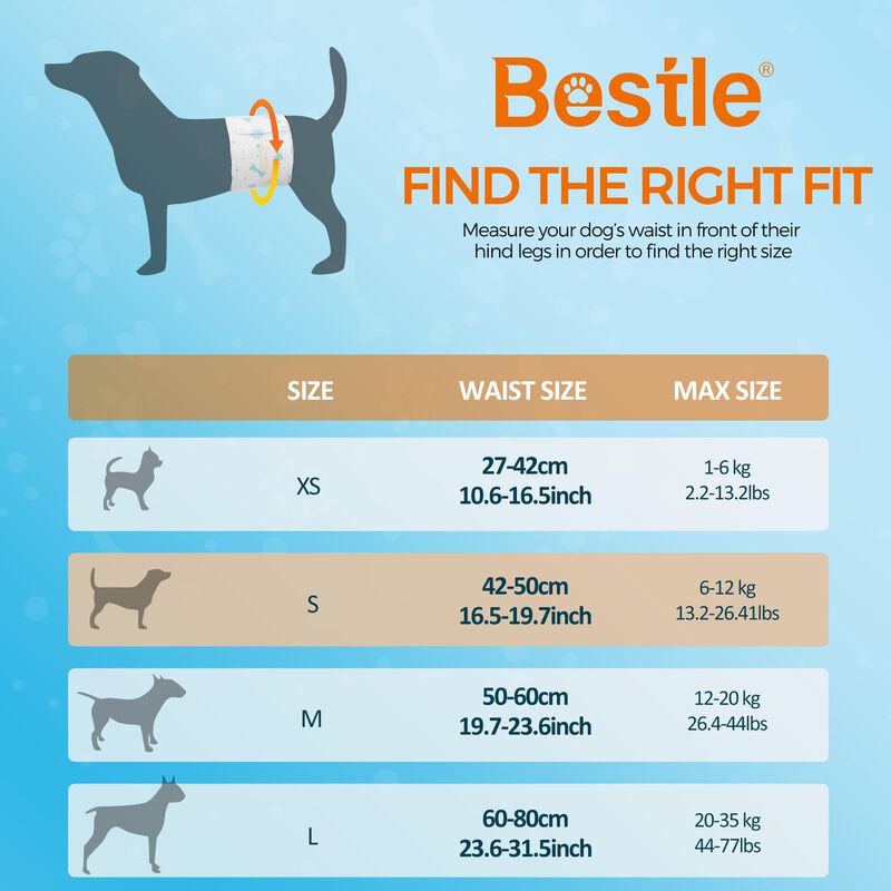 Pa&ntilde;al Para Perro Macho Bestle S &ndash; 40 Unidades (... image number null
