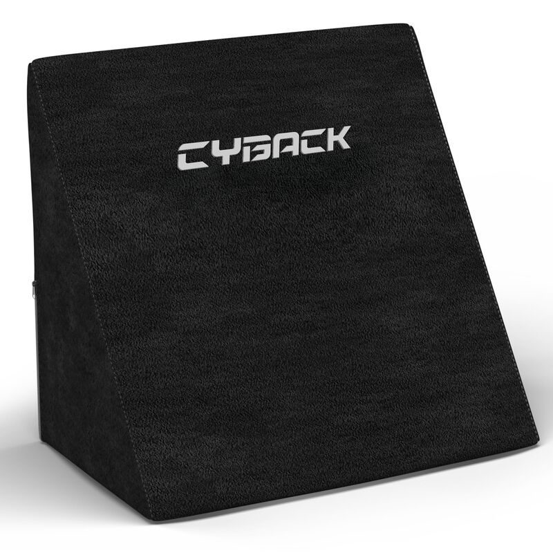 Coj&iacute;n Lumbar Couchmaster Cyback 50 X 30 X 45 Cm... image number null