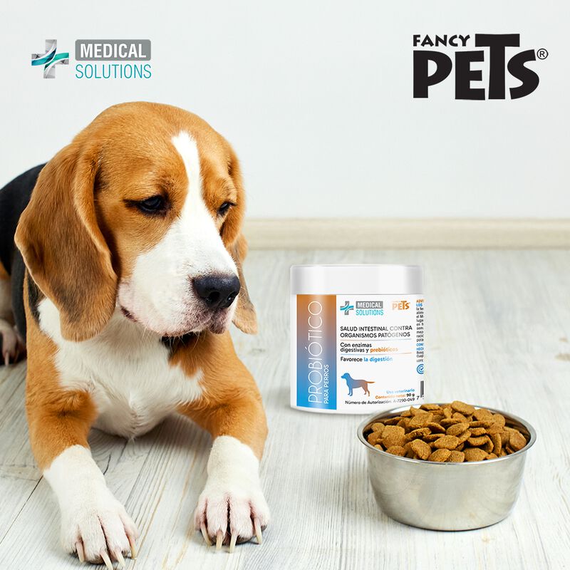 MEDICAL SOLUTIONS. Probióticos para Perros en P... image number null