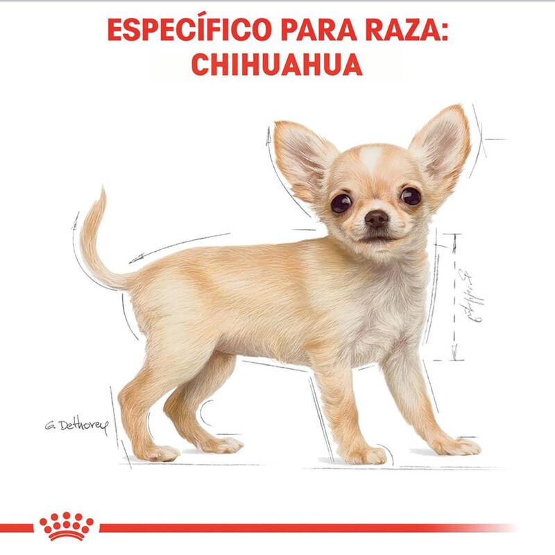 Royal Canin Bhn Chihuahua Puppy 1.14 Kg Origina... image number null
