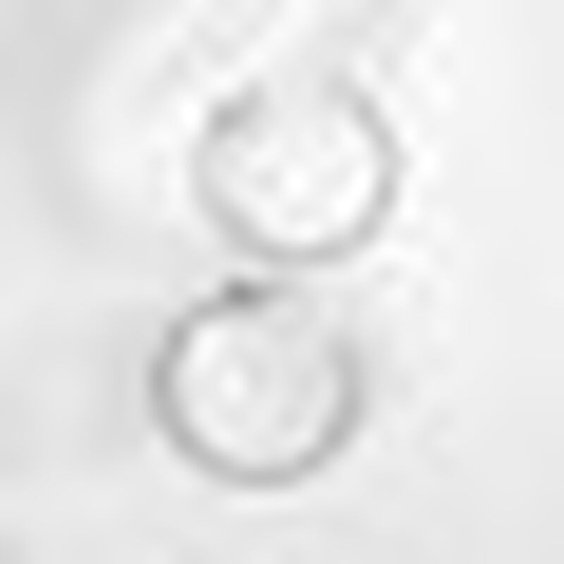 Arracadas de Plata Bejuco image number null