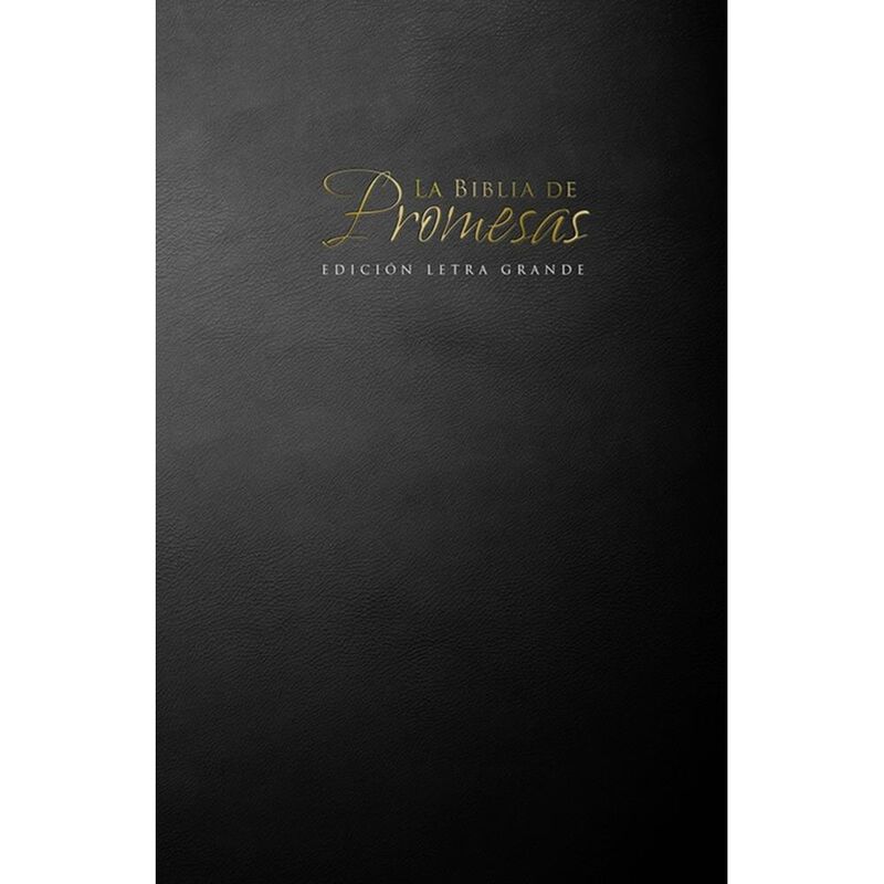 Santa Biblia (edici&oacute;n de promesas) image number null
