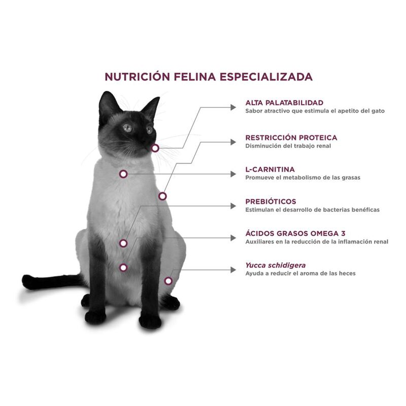 Nupec Felino Renal Care 1.5kg mas Pelota Spiny ... image number null
